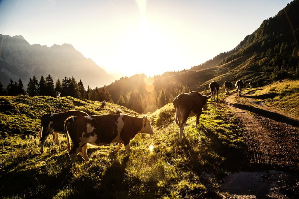 Alpin Lodge Leogang By Alpin Rentals Eksteriør billede